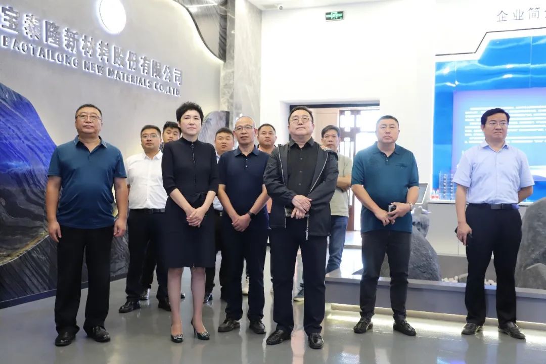 鑫融创集团考察团一行到宝泰隆考察