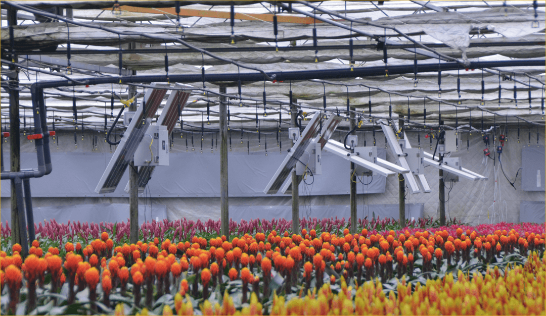 绿能嘉业亮相第29届中国杨凌农高会 石墨烯赋能农业 助力乡村振兴