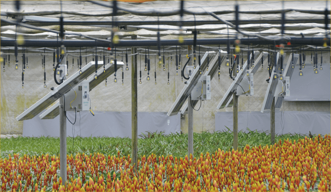 绿能嘉业亮相第29届中国杨凌农高会 石墨烯赋能农业 助力乡村振兴