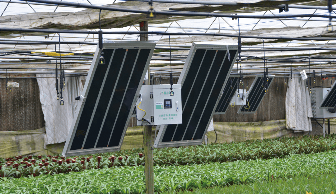 绿能嘉业亮相第29届中国杨凌农高会 石墨烯赋能农业 助力乡村振兴