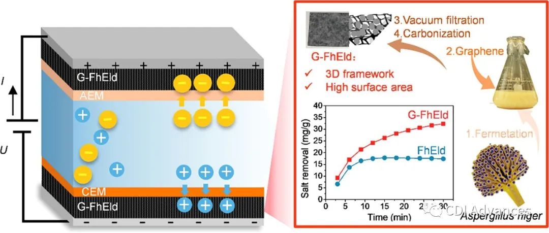 SPT: 石墨烯嵌入无粘合剂真菌菌丝电极用于电容去离子脱盐