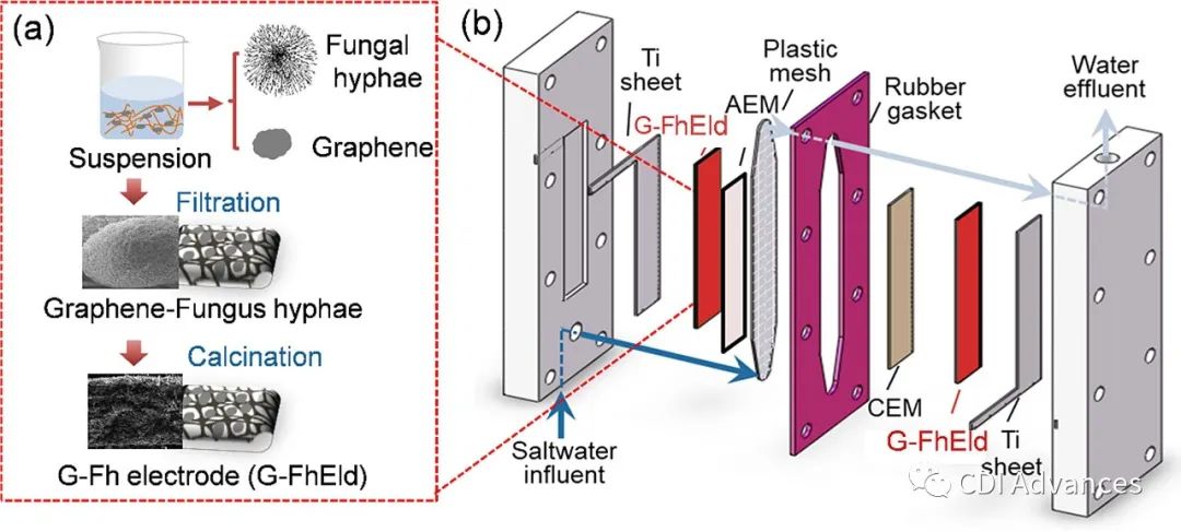 SPT: 石墨烯嵌入无粘合剂真菌菌丝电极用于电容去离子脱盐