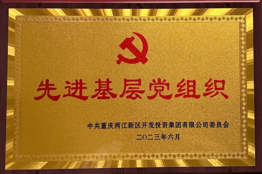喜报！重庆诺奖二维材料研究院党支部荣获“先进基层党组织”