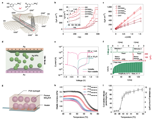 南邮团队联合南洋理工造出人工神经元，实现人工神经元与活神经元交互，向化学脑机接口迈出重要一步