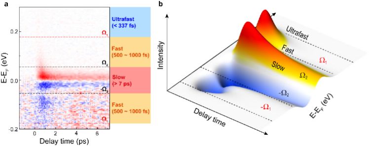追踪石墨烯中的电子：从“照相机”到“摄像机”