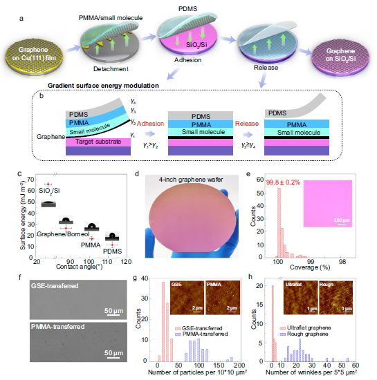 Nature Commun：通过梯度表面能调制集成晶圆级超平坦石墨烯