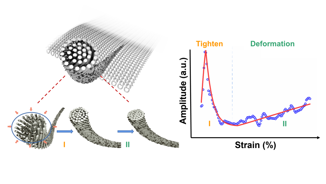 ACS Nano | 具有负微分电阻特性的石墨烯织物应变传感器拉伸响应成因