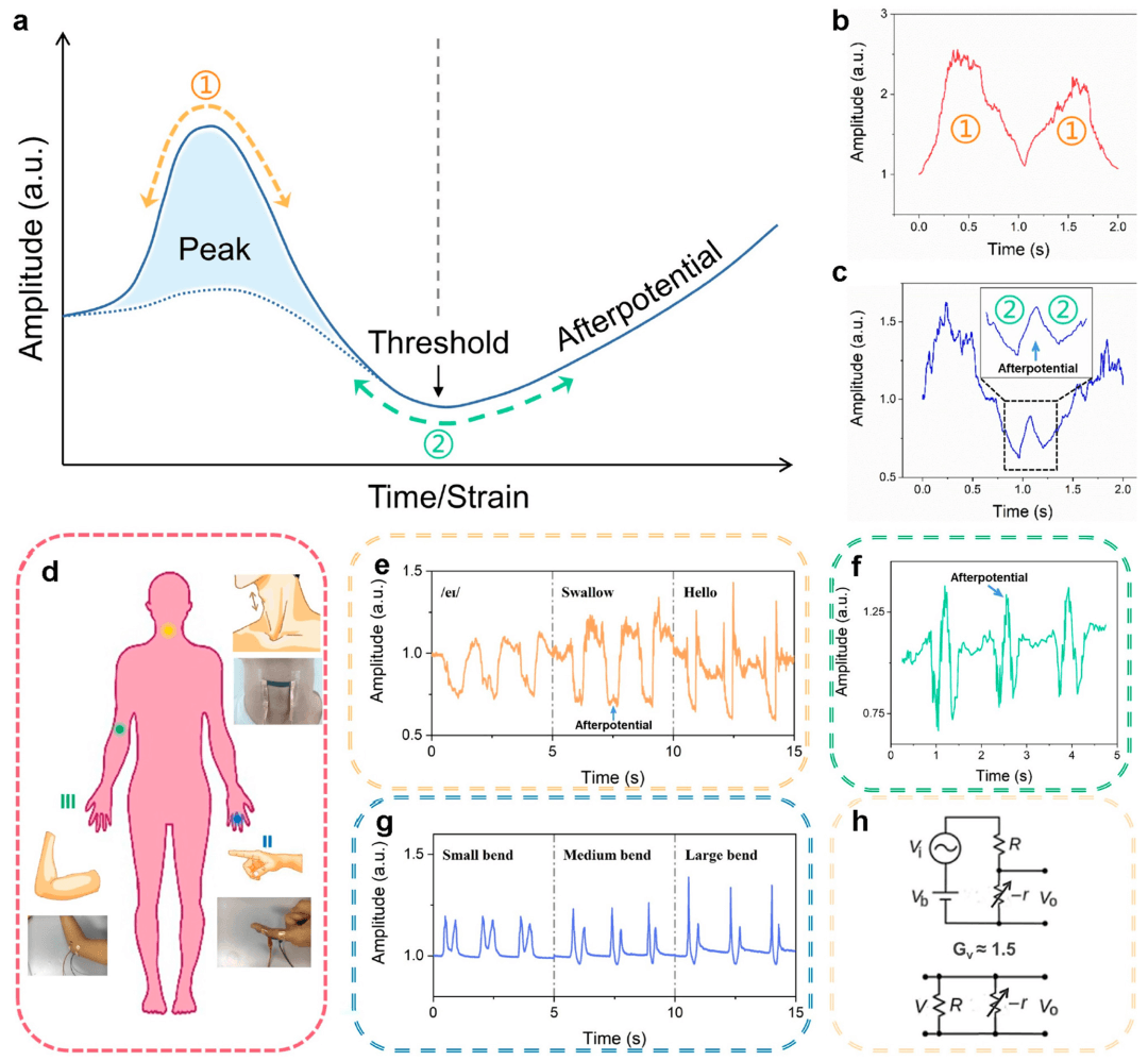 ACS Nano | 具有负微分电阻特性的石墨烯织物应变传感器拉伸响应成因