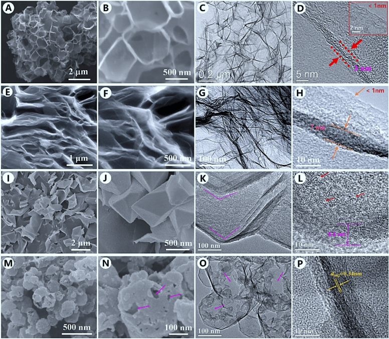 广东石油化工学院李泽胜团队AFM综述：基于三维石墨烯的三维打印柔性电容器应用