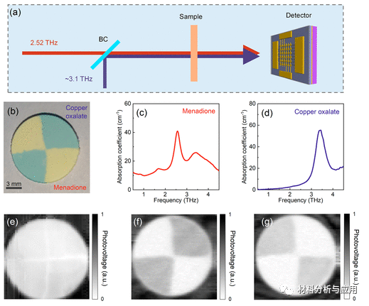 清华大学《ACS Nano》：具有波长和偏振选择性的单片超材料集成石墨烯太赫兹光电探测器