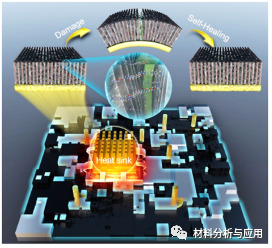 天津大学《Carbon》：导热，自修复和弹性聚酰亚胺共聚物填充到垂直排列碳纳米管复合材料，用于智能热界面
