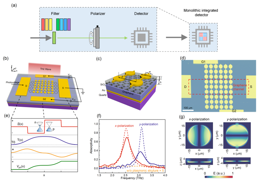 ACS Nano | 波长选择与偏振敏感的超材料-石墨烯单片集成太赫兹探测器