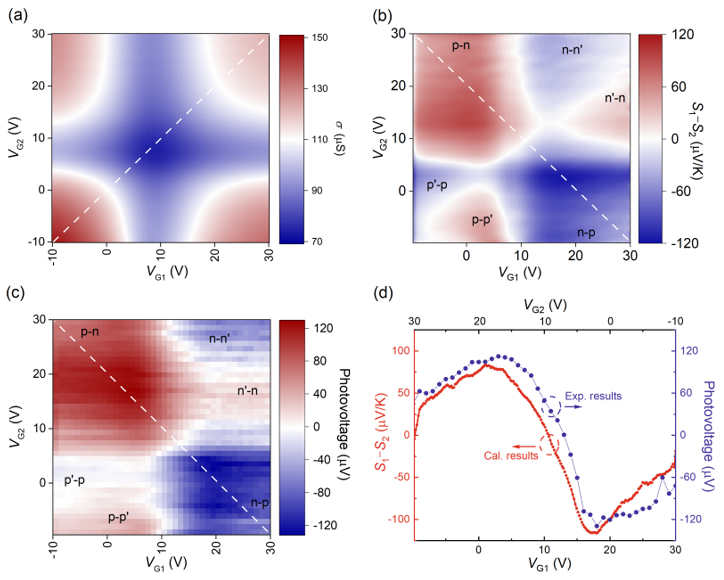 ACS Nano | 波长选择与偏振敏感的超材料-石墨烯单片集成太赫兹探测器
