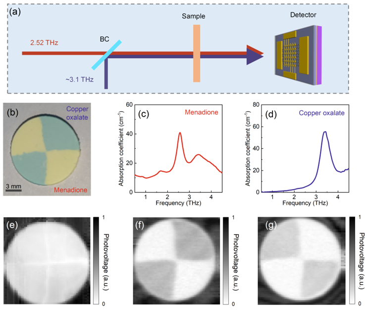 ACS Nano | 波长选择与偏振敏感的超材料-石墨烯单片集成太赫兹探测器