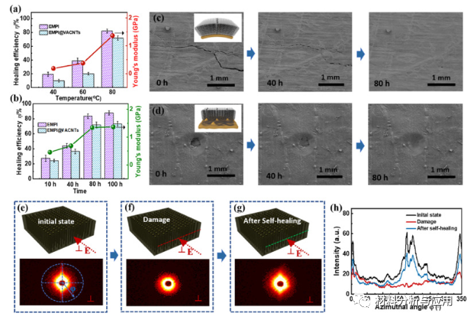 天津大学《Carbon》：导热，自修复和弹性聚酰亚胺共聚物填充到垂直排列碳纳米管复合材料，用于智能热界面