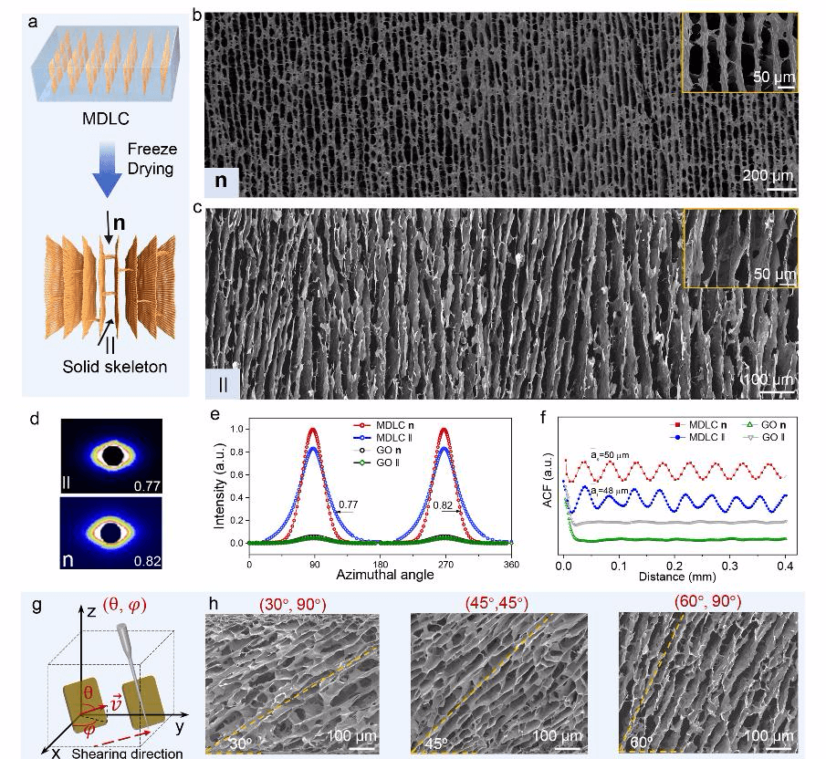 《Nano-Micro Letters》：浙大高超教授团队在二维胶体单畴液晶的大面积调控方面取得新进展