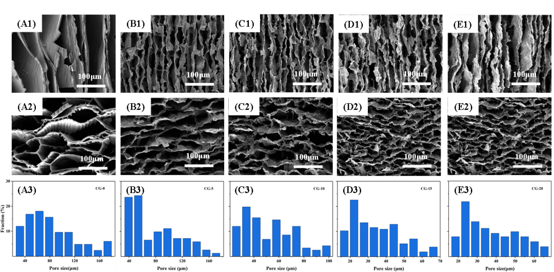 四川大学《ACS AMI》：各向异性的碳/石墨烯复合气凝胶材料 - 具有出色的隔热和电磁干扰屏蔽性能