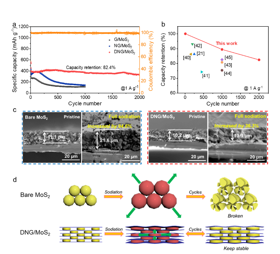 范壮军教授、张苏副教授，JMCA：静电组装-限域生长高密度石墨烯夹层二硫化钼量子点实现高体积储钠性能