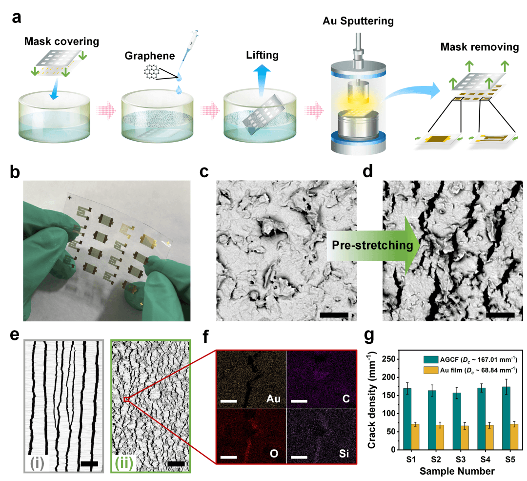 ACS AMI | 基于金/石墨烯多级裂纹薄膜的高性能应变传感器