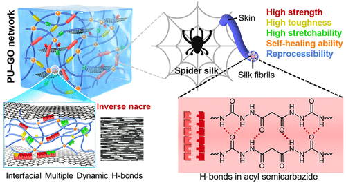 《ACS Nano》宁波材料所王立平/赵海超：聚氨酯-氧化石墨烯网络，超高机械强度和稳健的室温自愈性能！