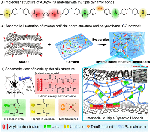 《ACS Nano》宁波材料所王立平/赵海超：聚氨酯-氧化石墨烯网络，超高机械强度和稳健的室温自愈性能！