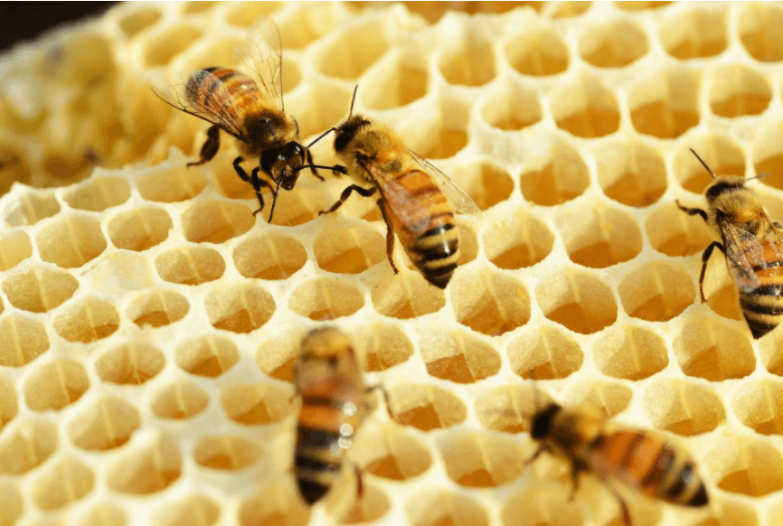 清华大学激光“刺绣”出蜂窝状石墨烯材料，屏蔽99.999999%的入射电磁波 ，可低成本大规模制备 | 专访