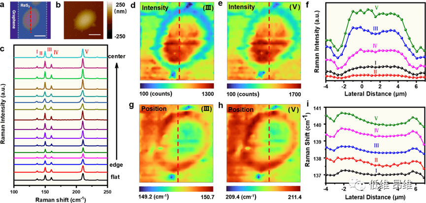 ACS Nano：ReS2/石墨烯异质结气泡中应变和干扰协同调制的光电性质