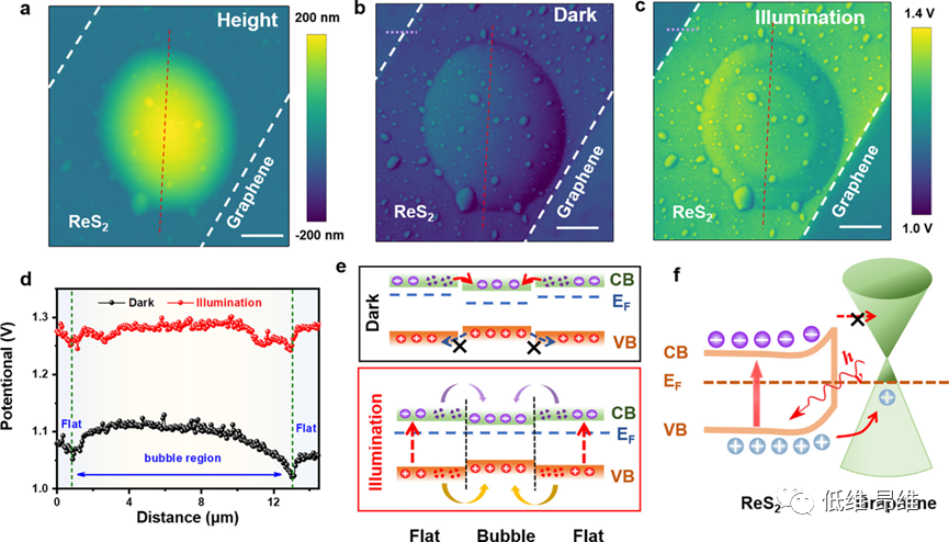 ACS Nano：ReS2/石墨烯异质结气泡中应变和干扰协同调制的光电性质