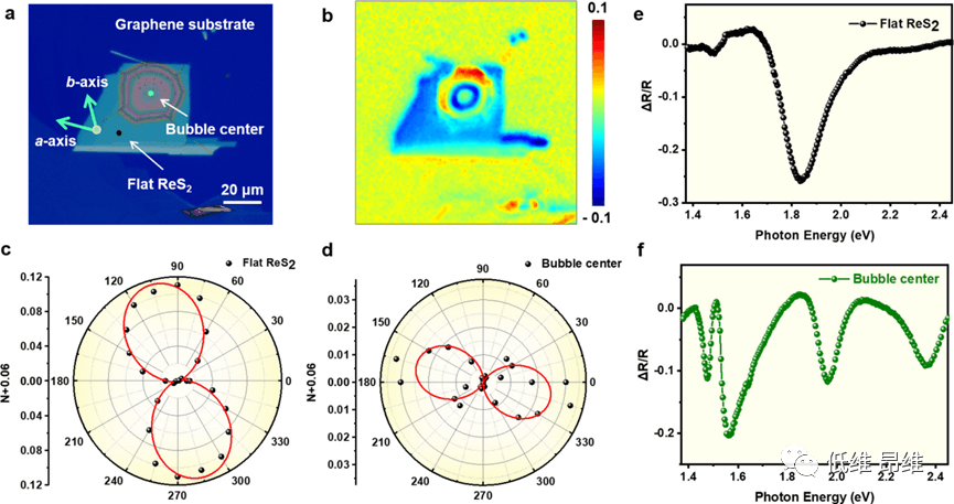 ACS Nano：ReS2/石墨烯异质结气泡中应变和干扰协同调制的光电性质