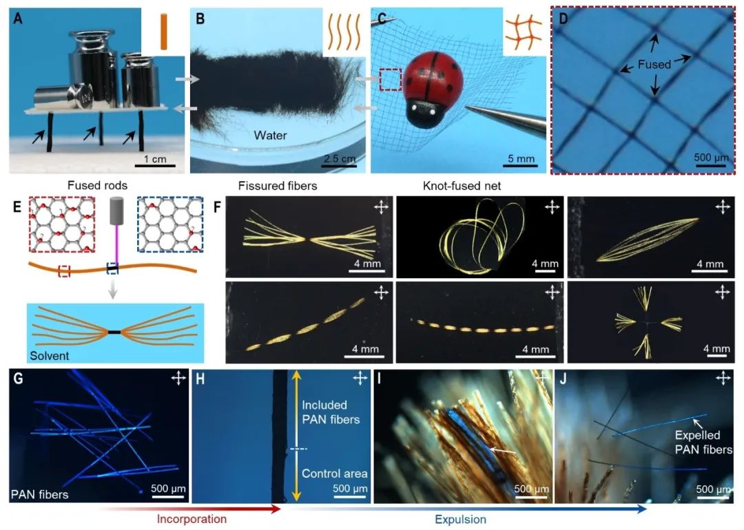 浙大高分子系高超教授团队成果登上《Science》——氧化石墨烯纤维的精确可逆融合与分裂