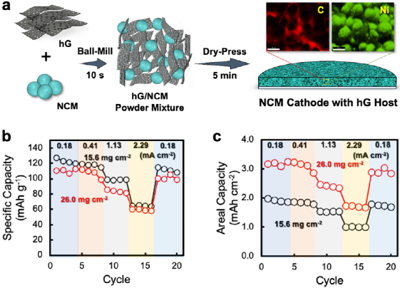 木头大王胡良兵最新ACR：关于多孔石墨烯干压电极，你想知道的都在这里