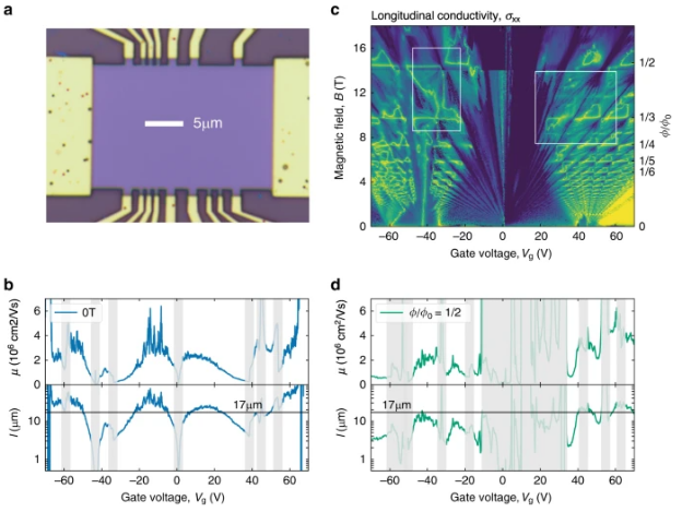 石墨烯之父、“诺奖得主” 团队重磅发现：“截然不同” 的物理学，可促成新电子器件的开发