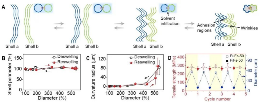 浙大教授实现石墨烯“七十二变”！13500条氧化石墨烯纤维精确性可逆，有望用于药物定向释放 | 专访