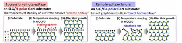 Nano Letters：远程外延的 GaN 衬底上石墨烯优异的热化学稳定性
