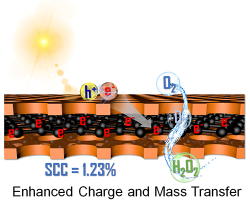 研究通过模拟叶片实现高效光催化生产过氧化氢