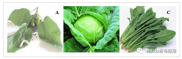 山西大同大学《Chemistry Select》：用天然碳酸钙和植物叶片绿色制备几层石墨烯片材