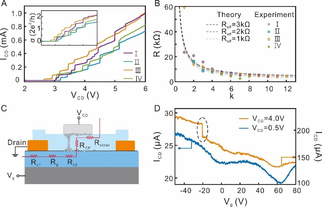 Small: 利用石墨烯原位监测银/氧化硅结构中的电阻开关过程
