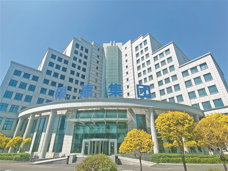 外来企业在龙江丨龙商回乡 擎起民企担当