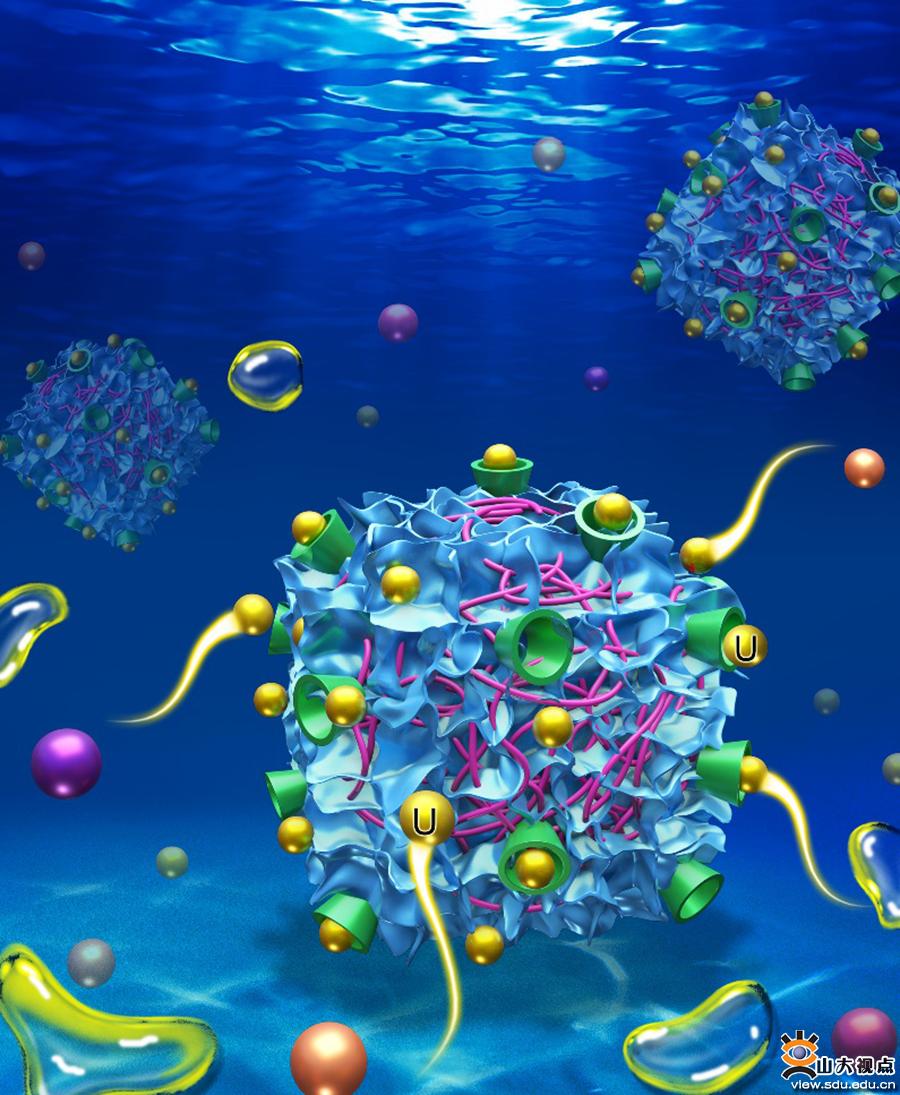 山东大学环境学院海水提铀研究取得新进展