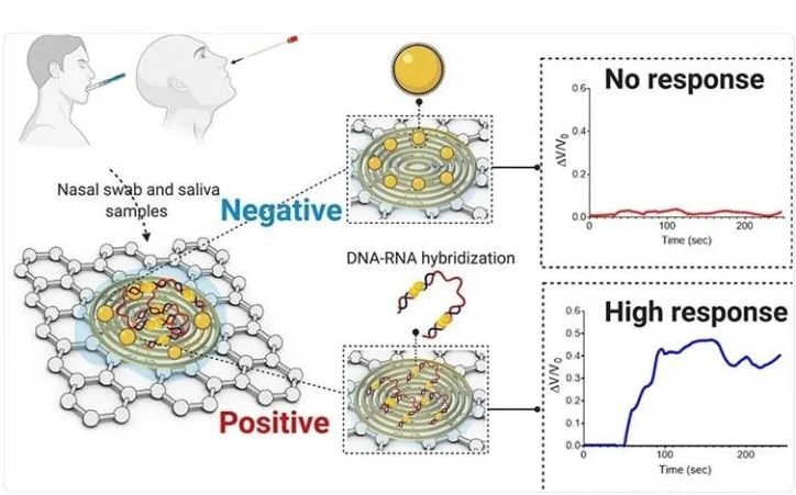 马里兰大学研究用于检测COVID-19的纸质传感器