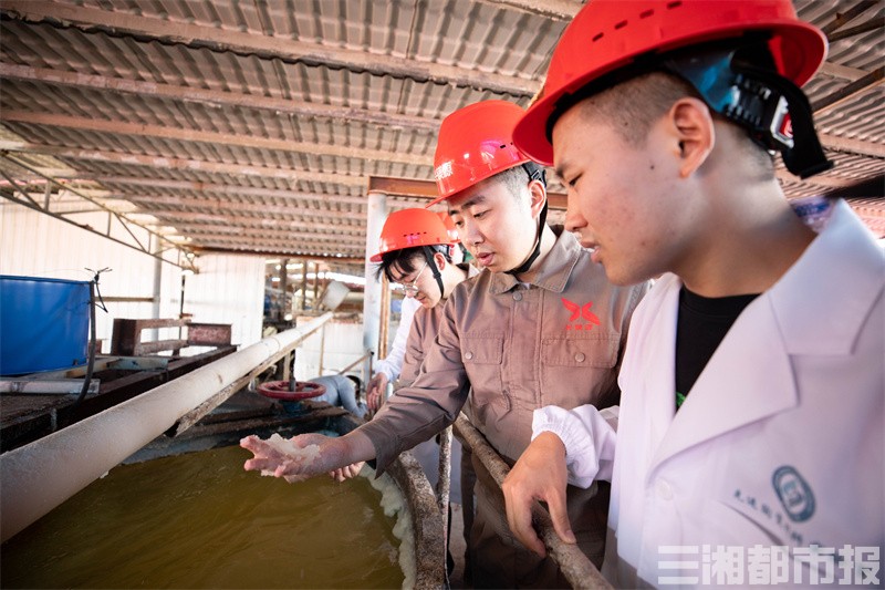 “变废为宝”，湖南一高校研究生科技创业实现年产值2500万元