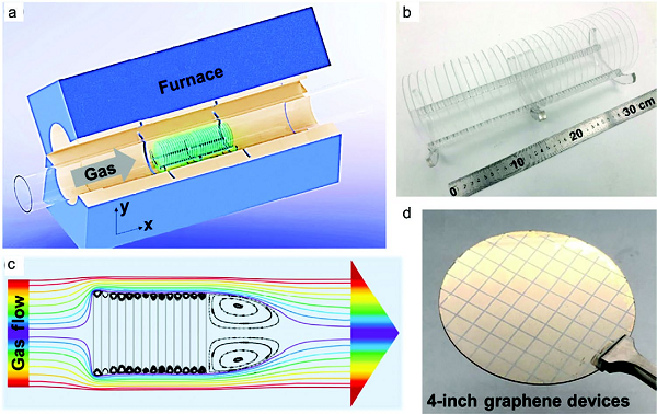 济南大学逄金波-刘宏Adv. Mater. Technol.：晶圆级石墨烯的化学气相沉积法合成及其电子器件应用