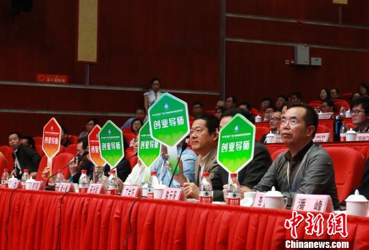 图为2017中国(广西)石墨烯创新创业项目路演现场。　朱柳融 摄