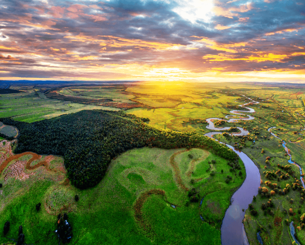 鹤岗“白菜价”房子背后：一座老煤城的自我救赎