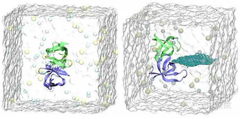 三医大重大发现：纳米级石墨烯能杀菌 比抗生素更安全