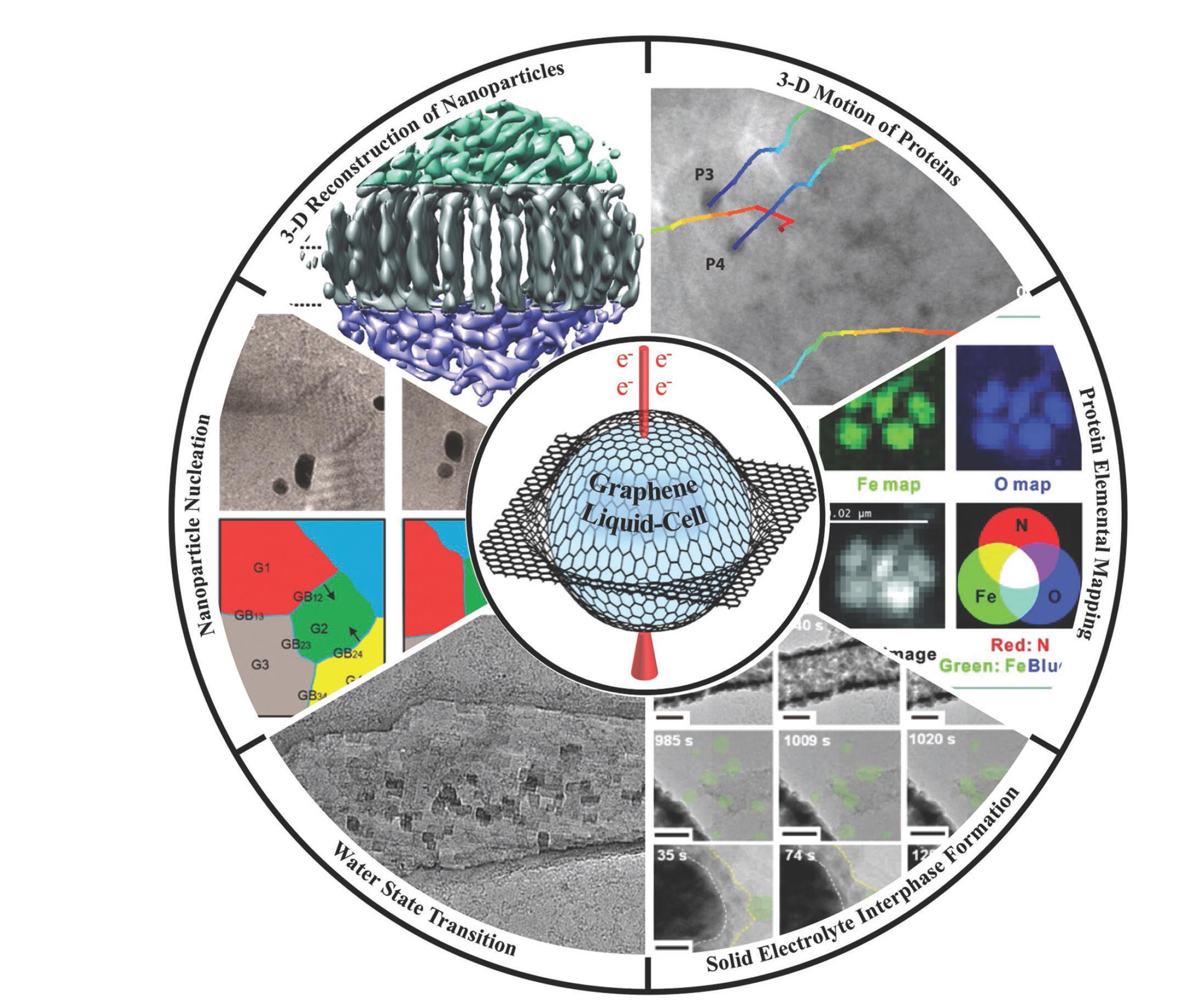 Small Methods：石墨烯液体池电子显微学研究进展：工作原理、机遇与挑战