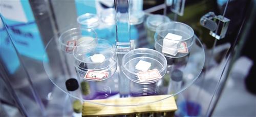 多位专家研判10年内能够高速成长的新技术——这些技术将“惊艳”我们城市