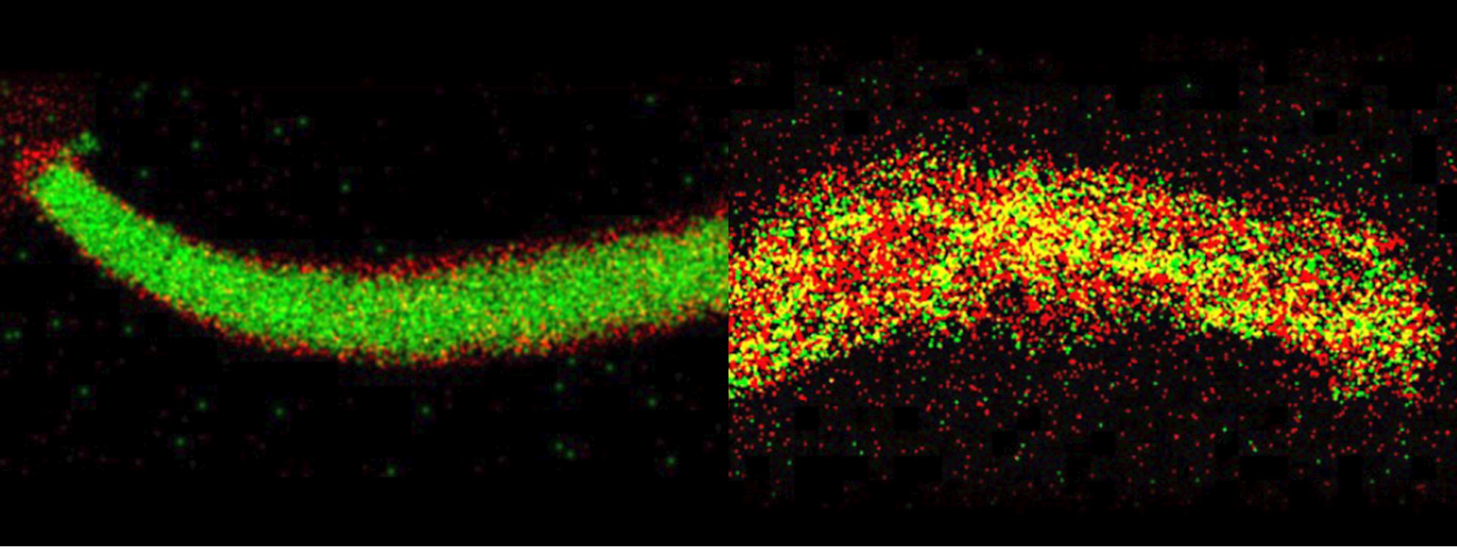 “死亡区 ”的发现或能让高密度硅电池成为现实