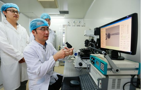 南开大学陈永胜教授团队研制出新石墨烯三维多孔载体 可延长锂电寿命