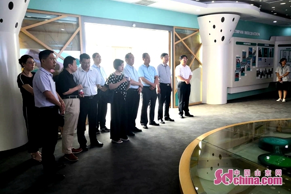 中科院院士到济宁新材料产业园区考察石墨烯产业